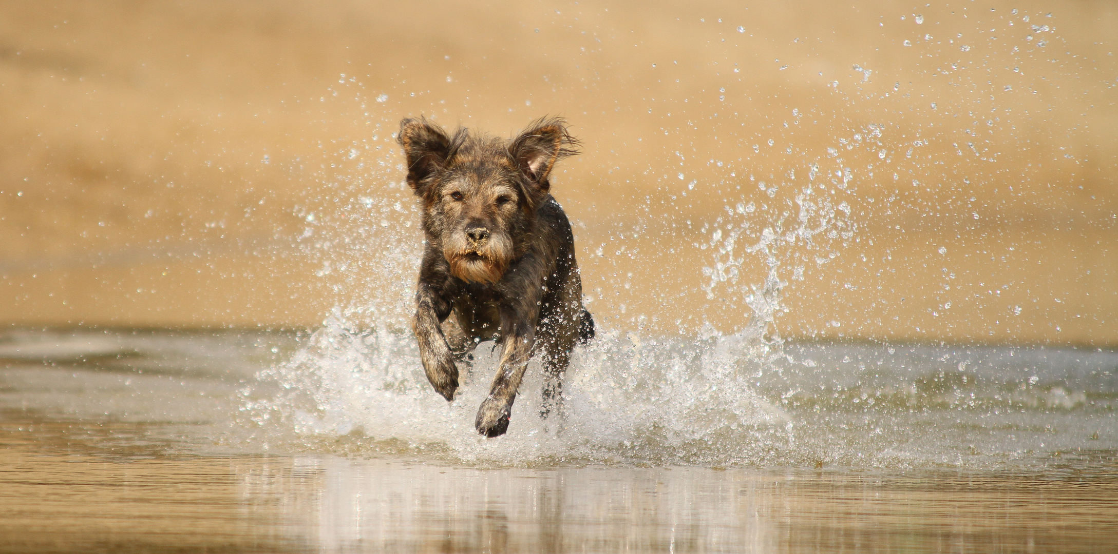 Action am See