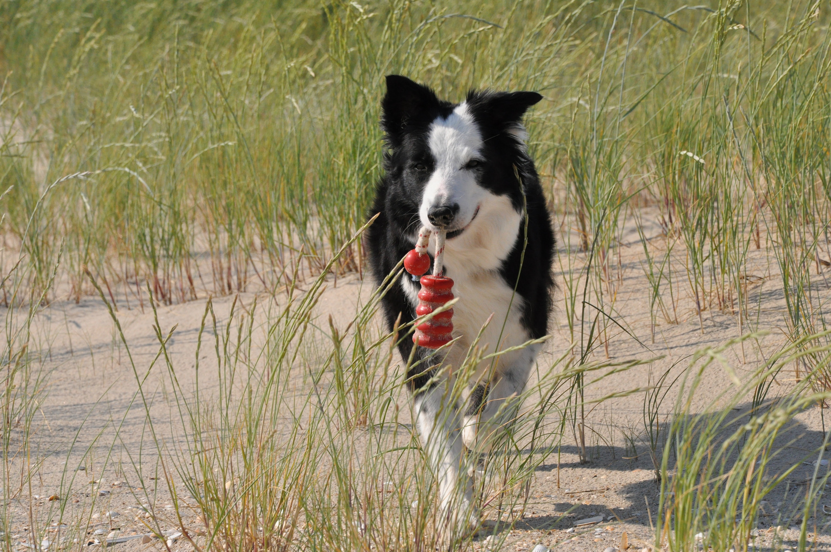 Action am Strand