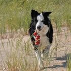 Action am Strand