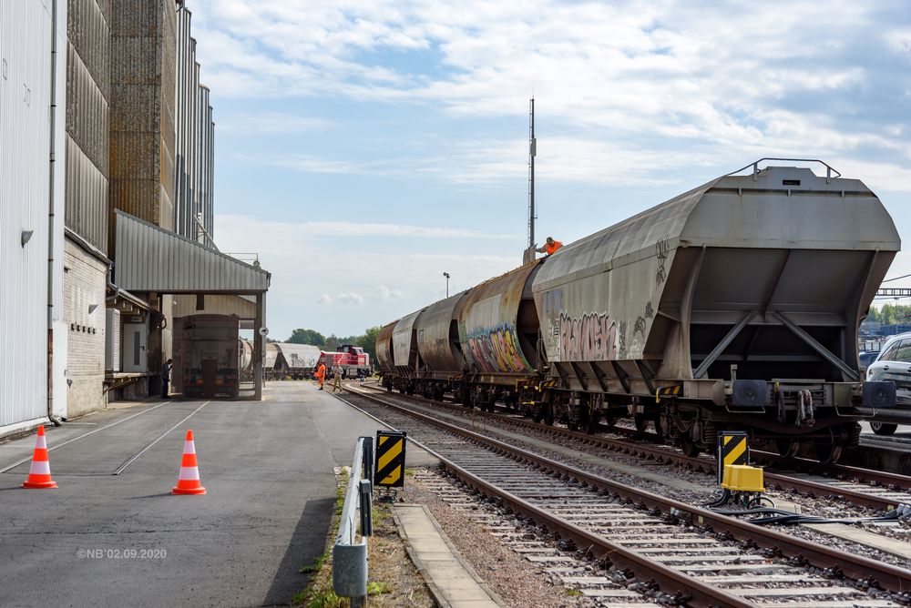 Action an der Mühle