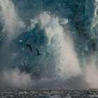 Action an einem der 2000 Gletscher Svalbard