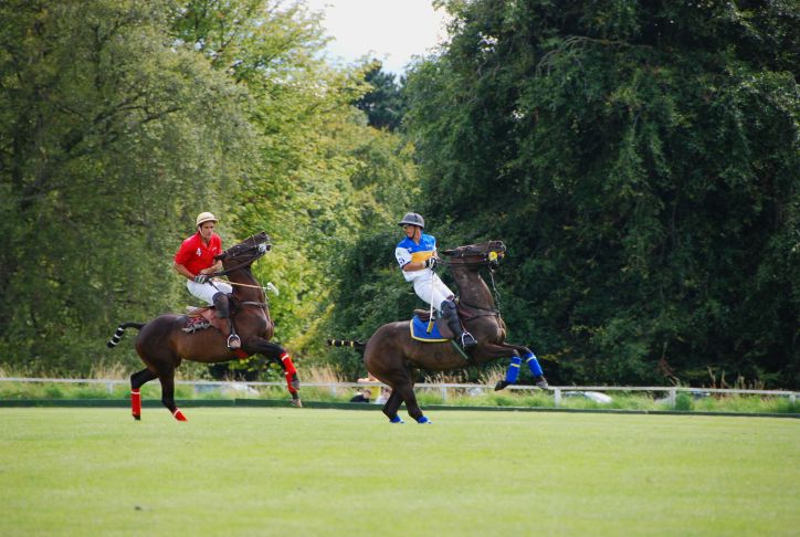 Action beim Polo...oder Tanz der Pferde?