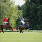 Action beim Polo...oder Tanz der Pferde?