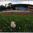 Action Cam - Speedway (06/2012)