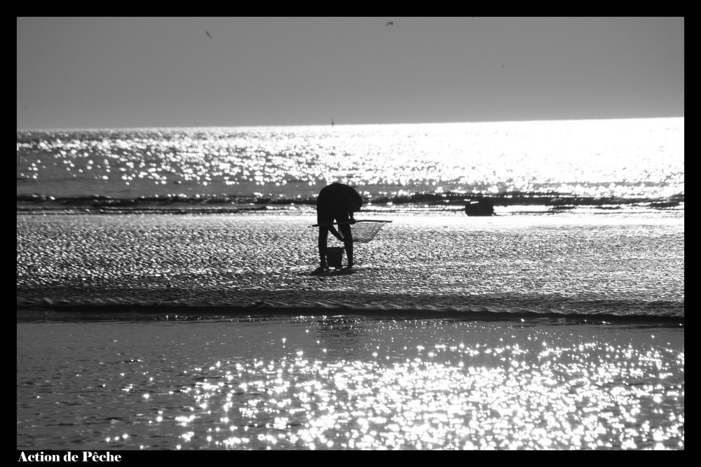 Action de pêche