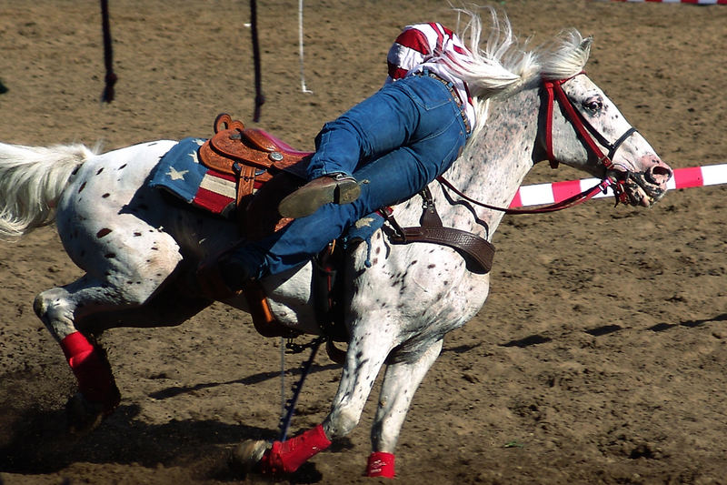 Action  ... fliegender wechsel des Reiters im schnellen Gallopp zurück in den Sattel