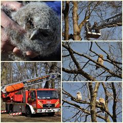 ..Action heut früh im Englgart..