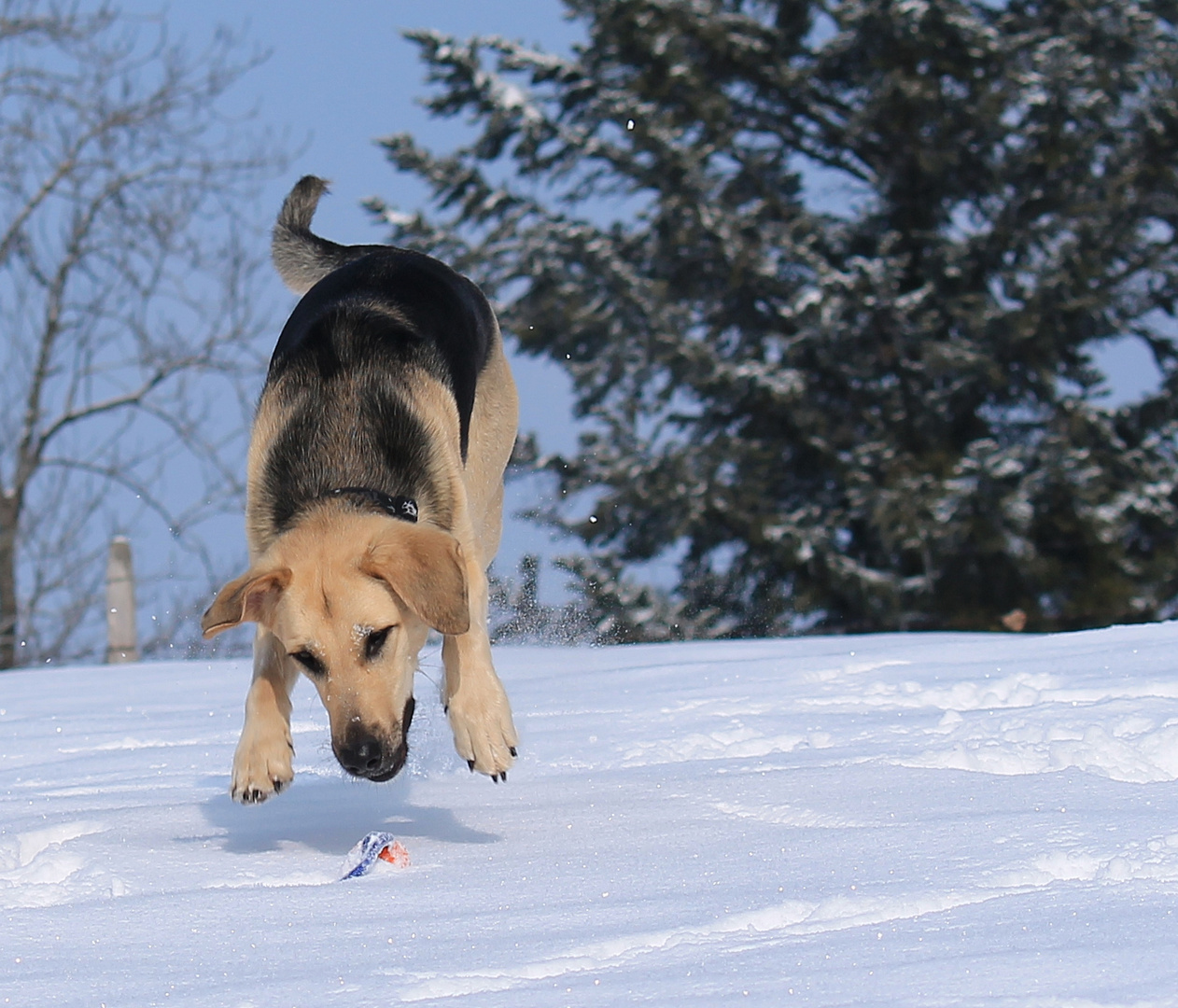 Action im Schnee 2