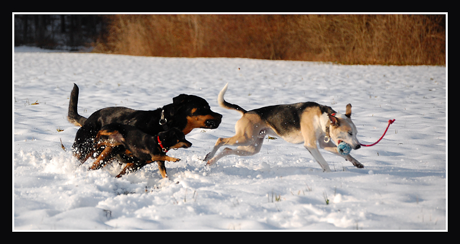 Action im Schnee zum zweiten...