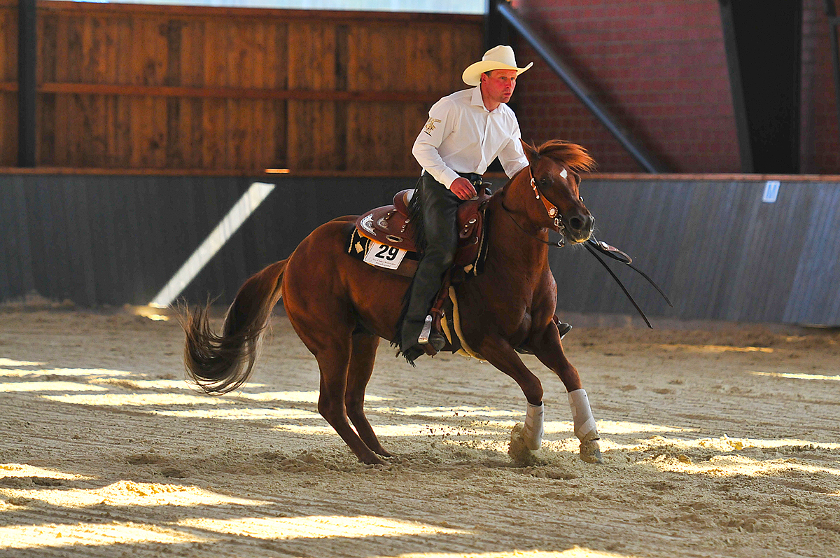 Action in Eltze