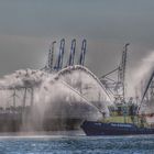 Action in Hoek van Holland 