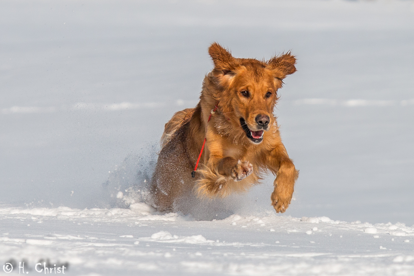 Action in Schnee