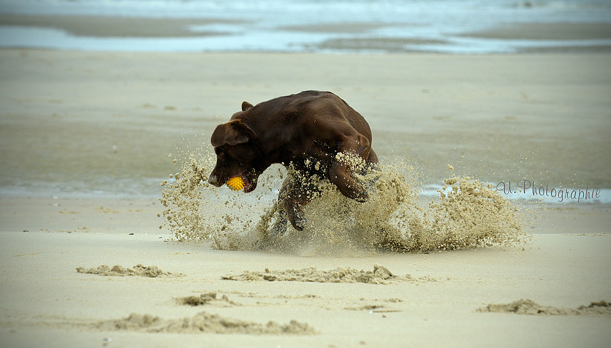 ..Action on the Beach ;-))