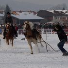 Actionsport Skijöring ...