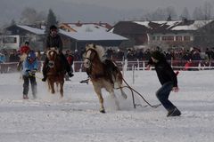 Actionsport Skijöring ...