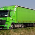 Actros in Froschgrün