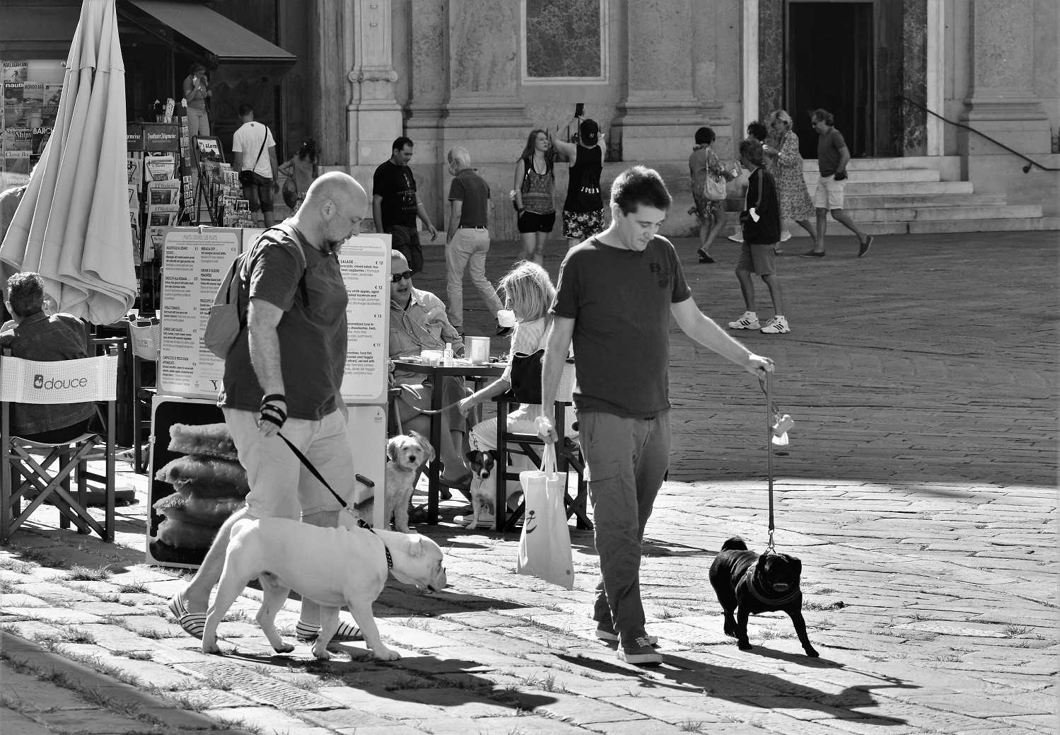 Ad ognuno il suo amico fedele