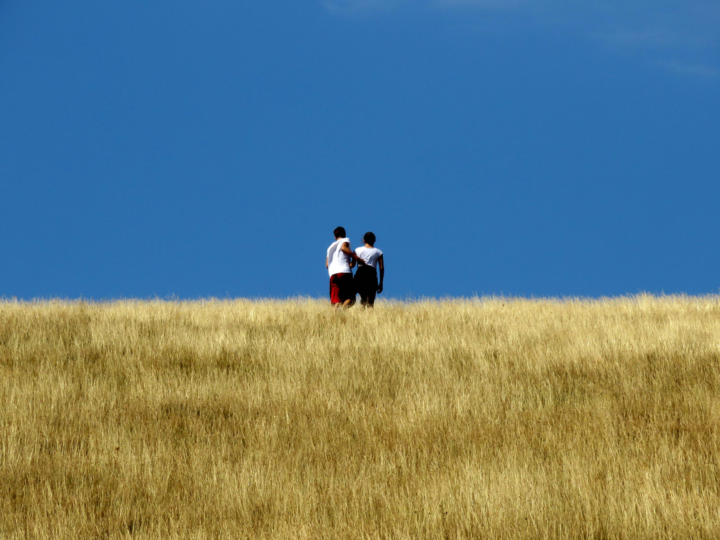 ad un passo dal cielo 