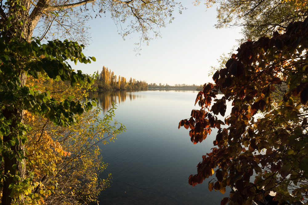 Binsfeldsee Speyer im Herbst von Andreas Wenig