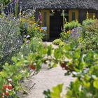 Ada und Emil Nolde Garten -Gartenlaube