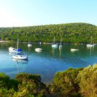 Adabükü / Bodrum /Turkey