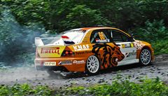 ADAC Rally Deutschland 2007