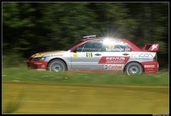 ADAC Rallye Deutschland 2007 - Baumschlager auf der Panzerplatte