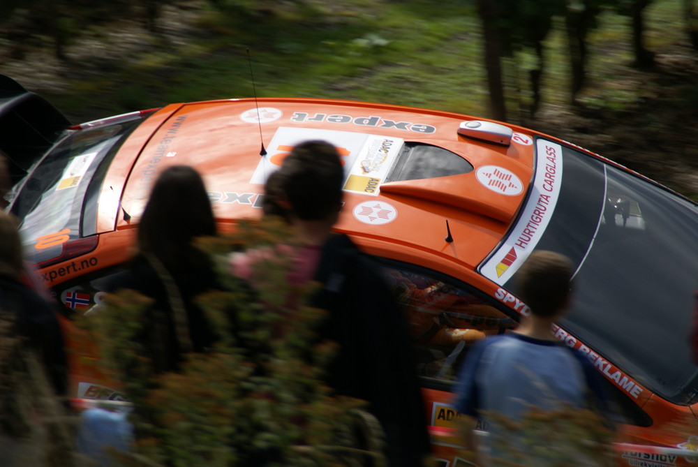 ADAC/WRC Deutschland 2007 (2)