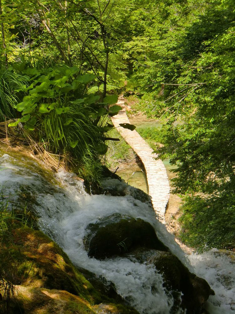 Adam Lauks Bridge... rebuilt after 35 Years, NP Plitvice Lakes over River KORANA in June 11