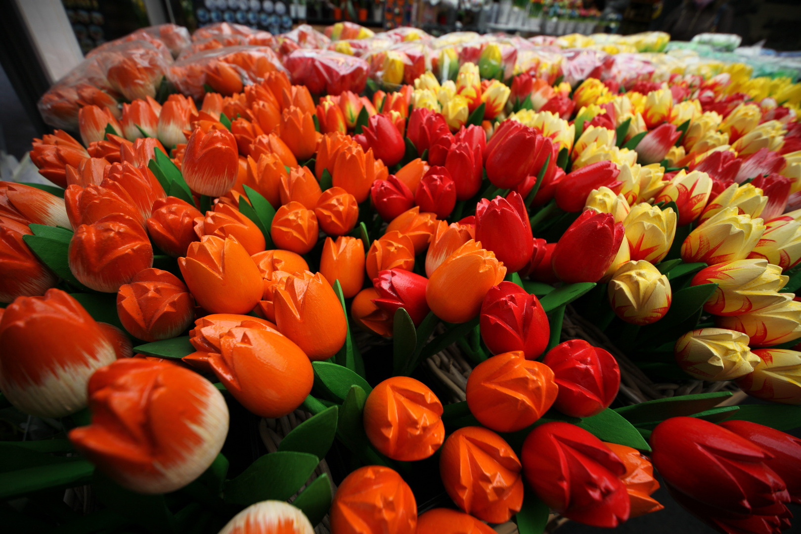 A'dam Tulpen