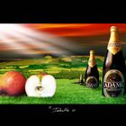 Adams Cider