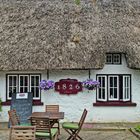 Adare