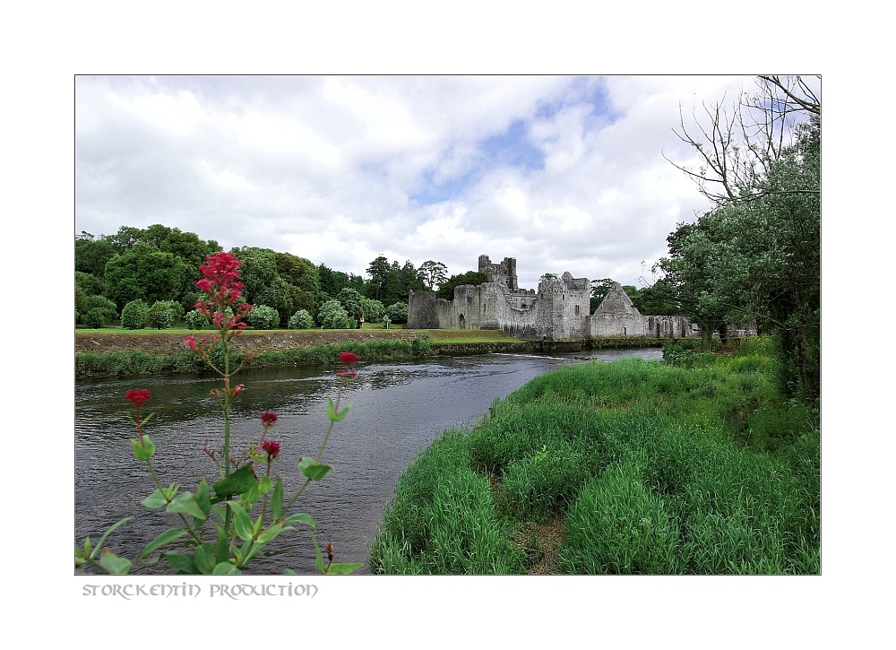 Adare Castle