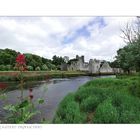 Adare Castle