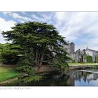 Adare Manor