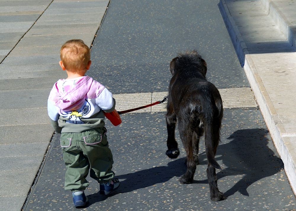 Boy mit Hund von Arpad Maczek 