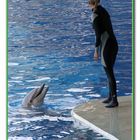 Addestratrice di delfini