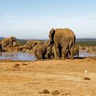 Addo Elephant Nationalpark_34