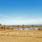 Addo Elephant Nationalpark_70