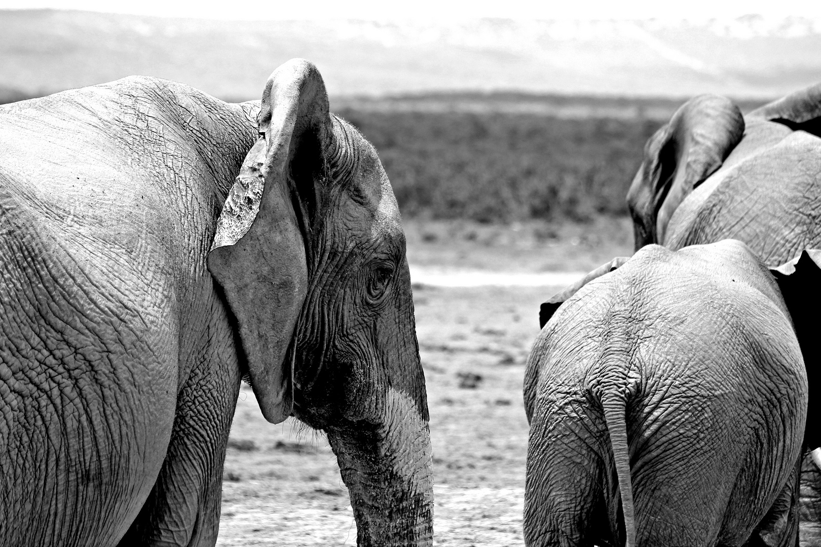 Addo, South Africa