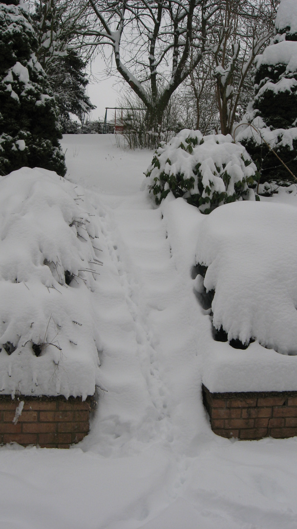 Adé Winter es war schön aber jetzt langt es...