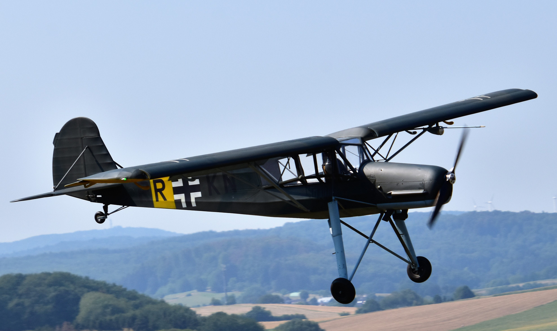 Adebar im Landeanflug