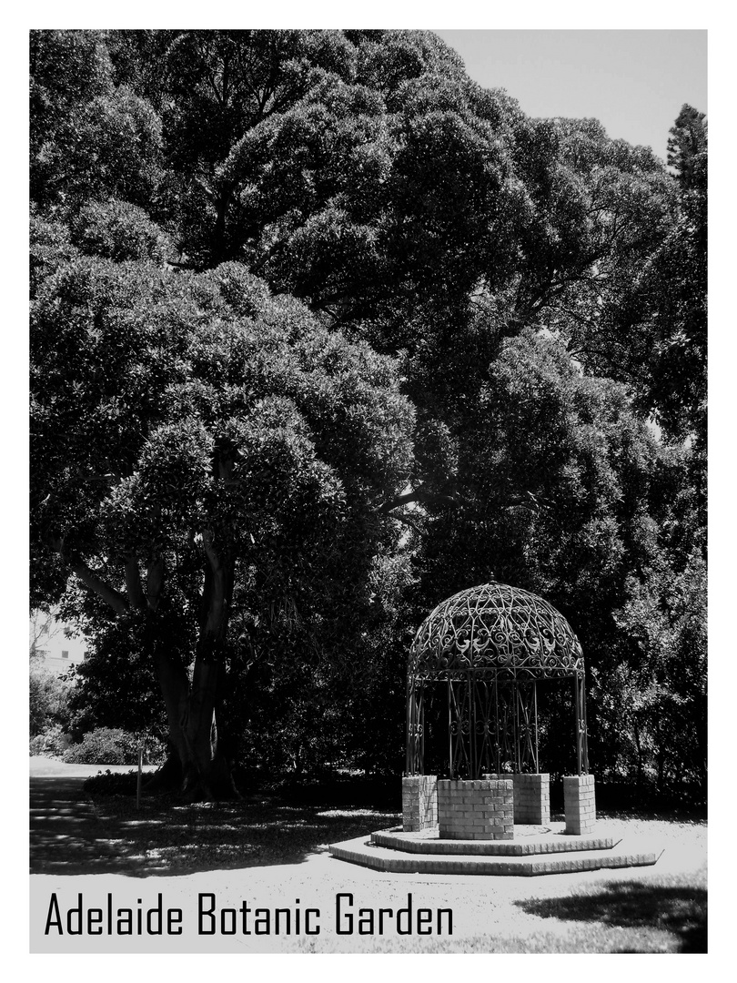 Adelaide Botanic Garden