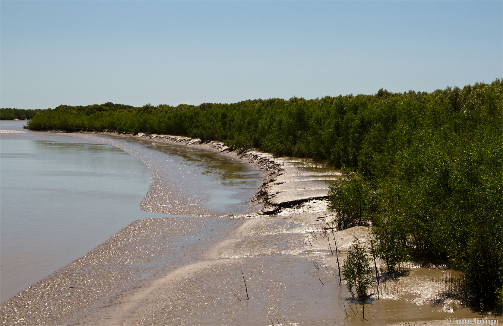 Adelaide River.