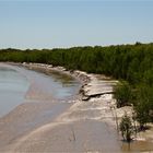 Adelaide River.