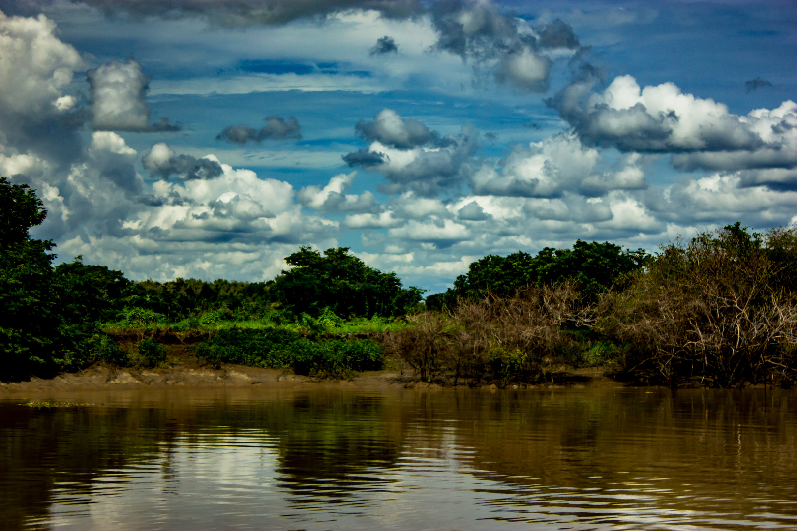 Adelaide River