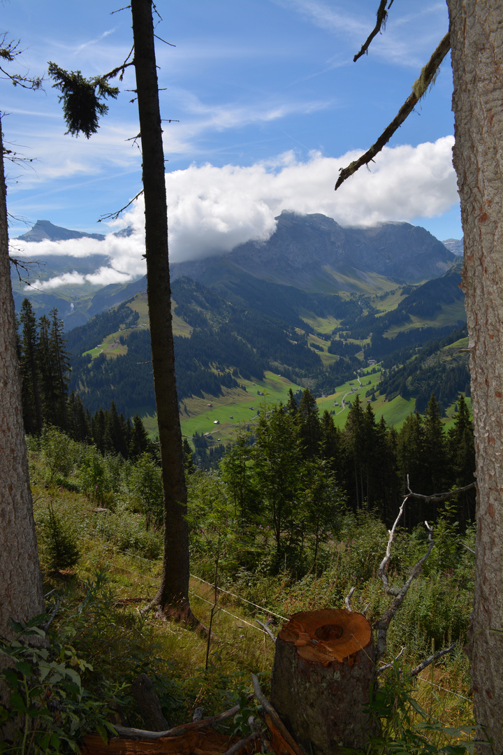 Adelboden  (7)