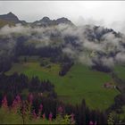 Adelboden Hörnli Wanderung