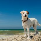 Adele am Strand