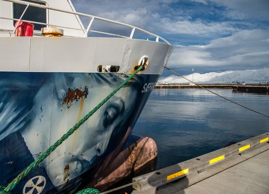 ~~ Adele auf Kreuzfahrt ~~